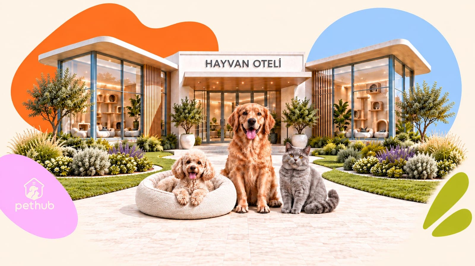 Köpeği Pansiyona Bırakmadan Önce: 10 İpucu