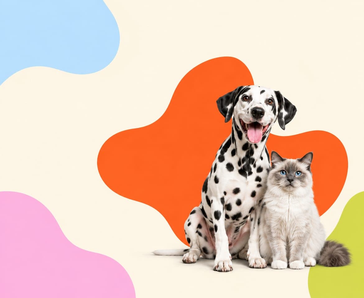 Mutlu kediler ve köpekler — PetHub marka görseli