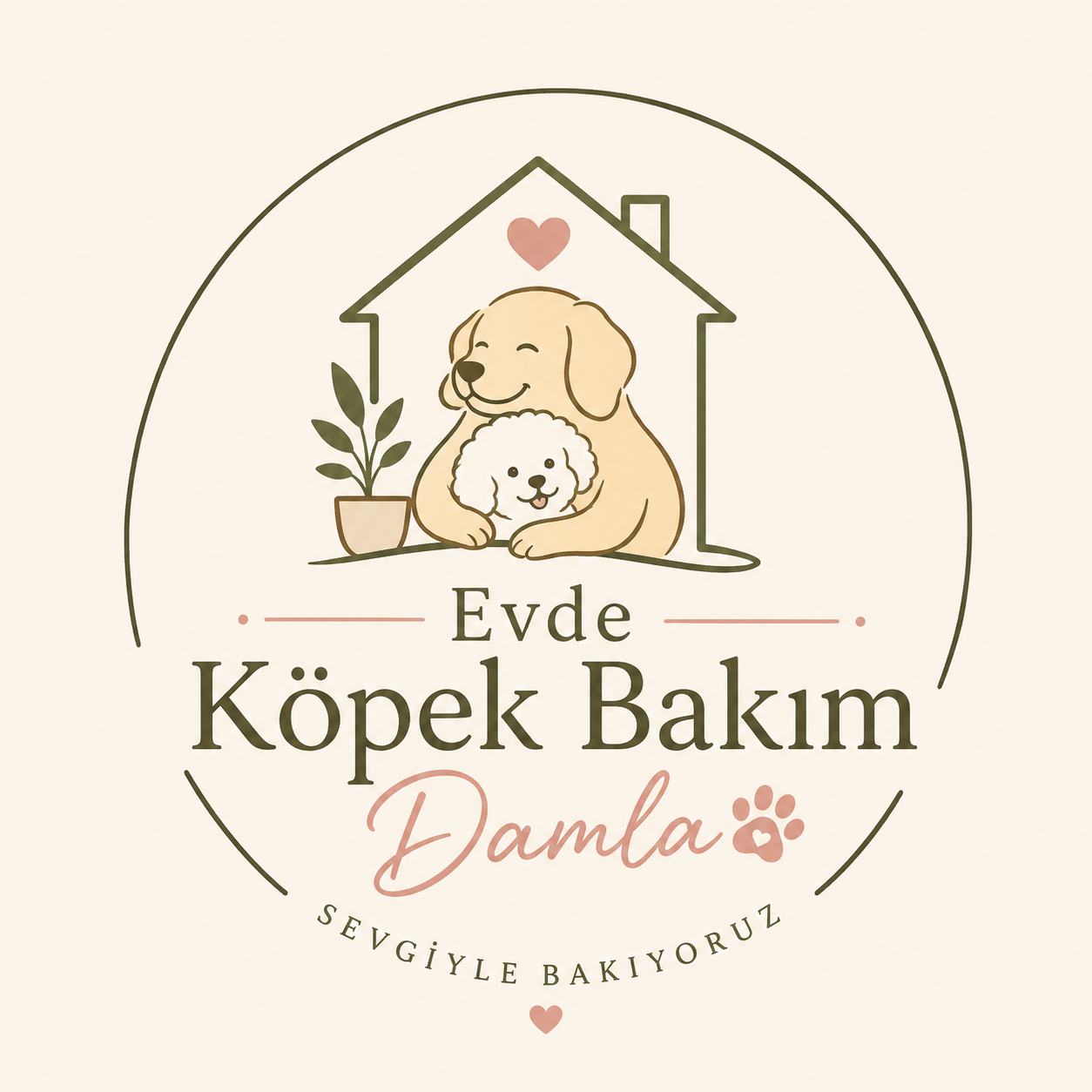Evde Köpek Bakım Damla - İstanbul Ataşehir