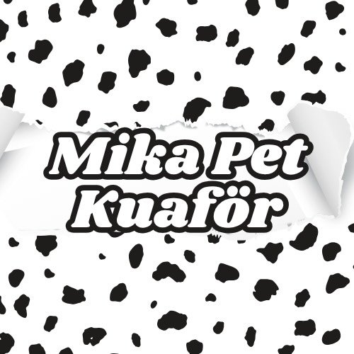 Mika Pet Kuaför&Otel - İstanbul Kadıköy