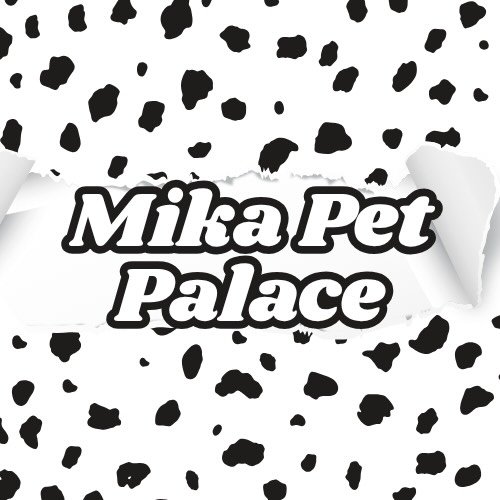 Mika Pet Palace - İstanbul Beykoz